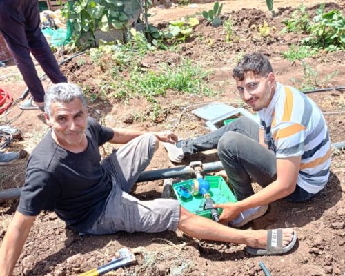 WhatsApp Image 2024-12-03 at 15.51.00 (3)