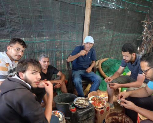 WhatsApp Image 2024-12-03 at 15.51.01