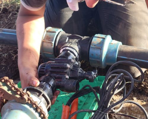 WhatsApp Image 2024-12-03 at 15.52.53 (1)