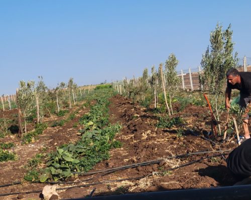 WhatsApp Image 2024-12-03 at 15.52.53 (2)