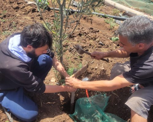 WhatsApp Image 2024-12-03 at 15.52.54 (2)