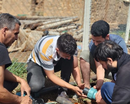 WhatsApp Image 2024-12-03 at 15.52.54 (4)