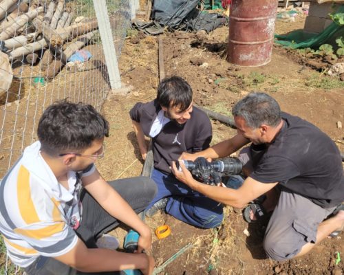 WhatsApp Image 2024-12-03 at 15.57.04