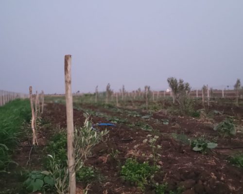 WhatsApp Image 2024-12-03 at 15.57.05 (2)