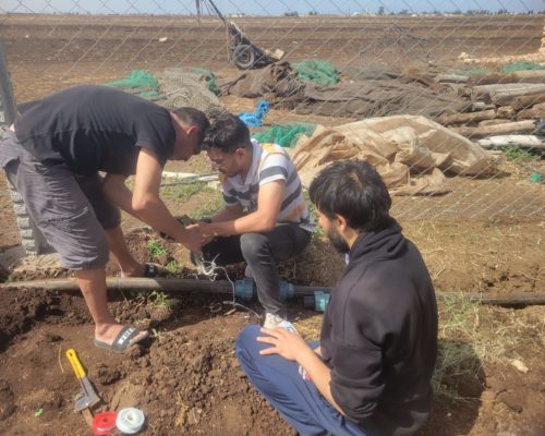 WhatsApp Image 2024-12-03 at 15.57.05 (3)