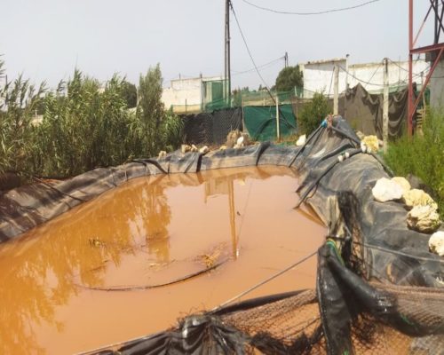 WhatsApp Image 2025-09-28 à 19.20.04_1ac9168b