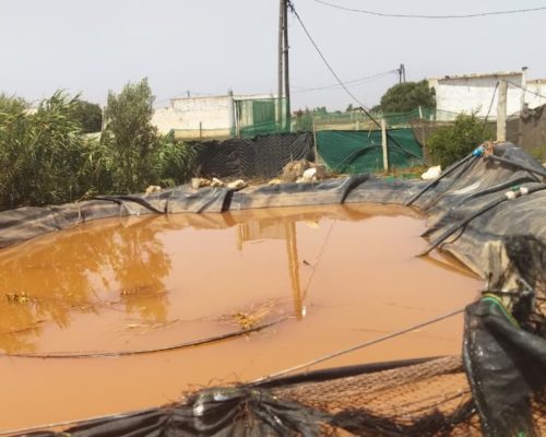 WhatsApp Image 2025-09-28 à 19.20.04_1ac9168b