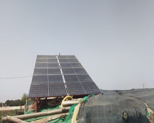 WhatsApp Image 2025-09-28 à 19.20.12_2afa285c