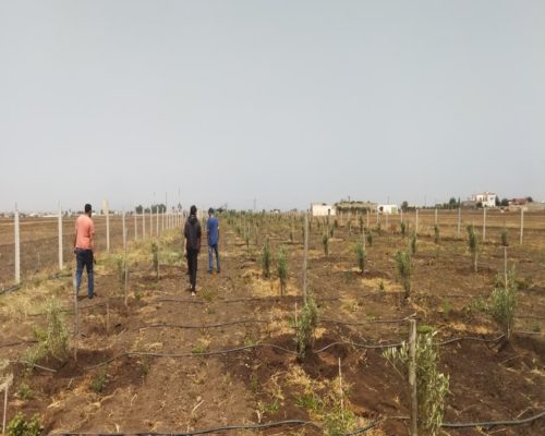 WhatsApp Image 2025-09-28 à 19.20.16_e6392d89