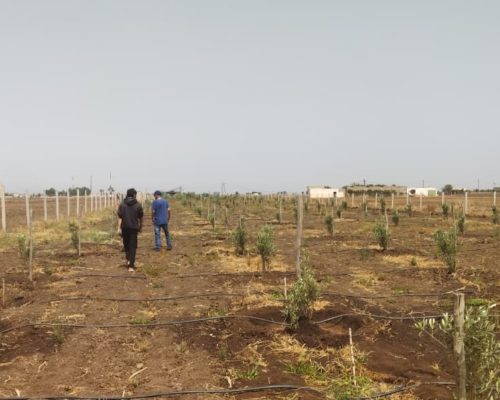 WhatsApp Image 2025-09-28 à 19.20.16_e6392d89