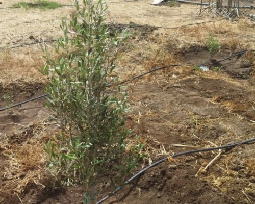 WhatsApp Image 2025-09-28 à 19.20.19_13d8da45