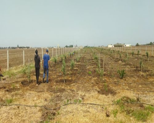 WhatsApp Image 2025-09-28 à 19.20.24_66a3c562