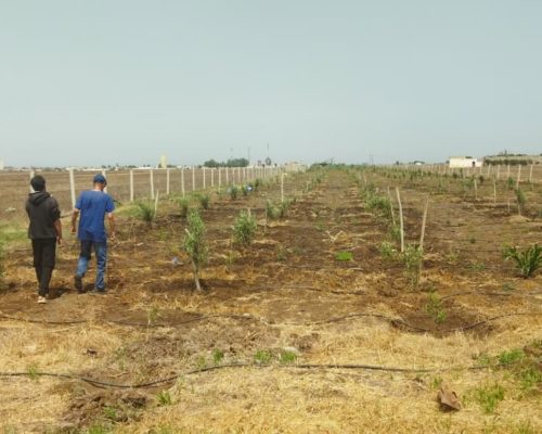 WhatsApp Image 2025-09-28 à 19.20.24_66a3c562