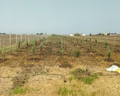 WhatsApp Image 2025-09-28 à 19.20.26_95d1285e