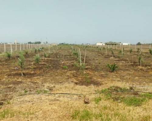 WhatsApp Image 2025-09-28 à 19.20.26_95d1285e