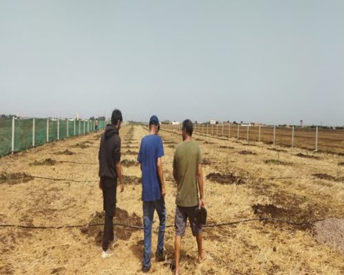 WhatsApp Image 2025-09-28 à 19.20.27_20d5fa56