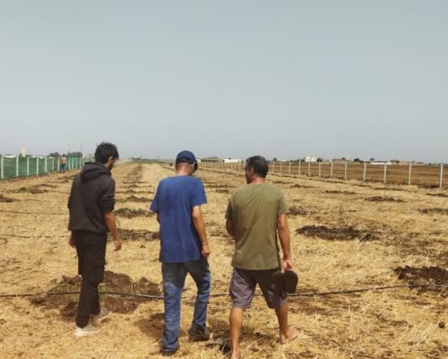 WhatsApp Image 2025-09-28 à 19.20.27_20d5fa56