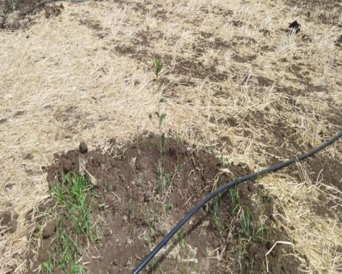 WhatsApp Image 2025-09-28 à 19.20.29_88e061aa