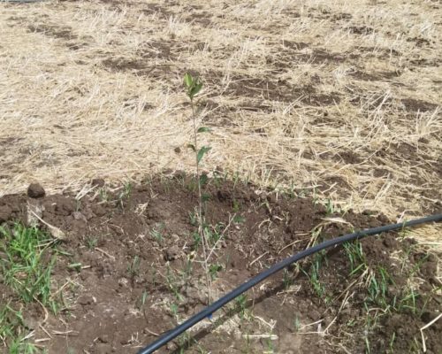 WhatsApp Image 2025-09-28 à 19.20.29_88e061aa