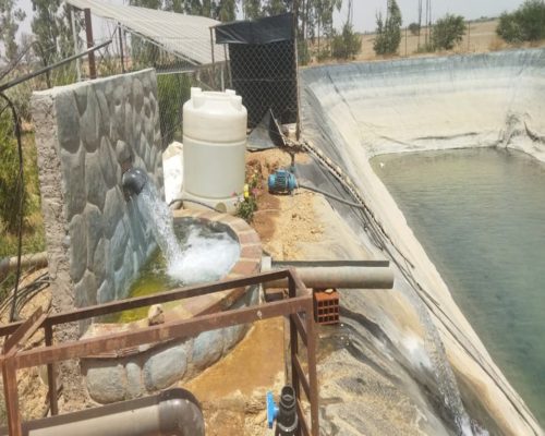 WhatsApp Image 2025-09-28 à 19.20.33_c66acafc