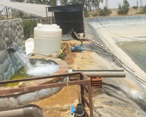 WhatsApp Image 2025-09-28 à 19.20.33_c66acafc