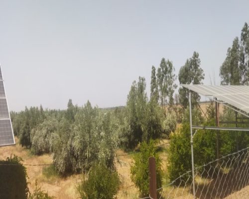 WhatsApp Image 2025-09-28 à 19.20.35_21608edc