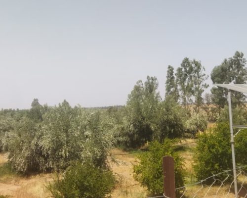 WhatsApp Image 2025-09-28 à 19.20.35_21608edc