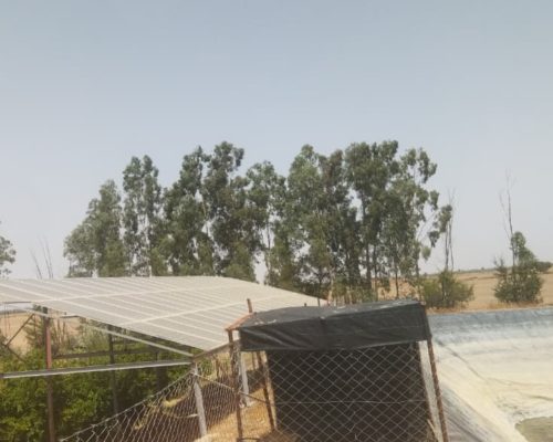 WhatsApp Image 2025-09-28 à 19.20.37_7b44e281