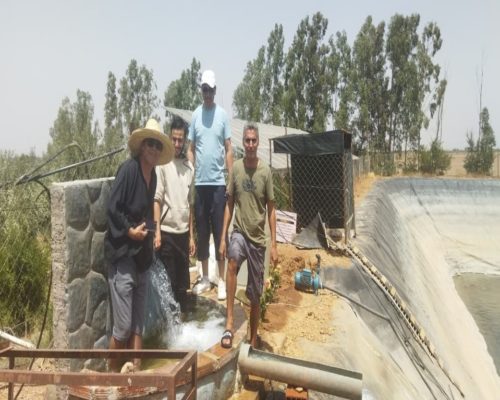 WhatsApp Image 2025-09-28 à 19.20.43_ecb9650f