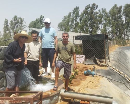 WhatsApp Image 2025-09-28 à 19.20.43_ecb9650f