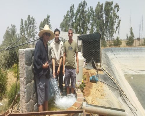 WhatsApp Image 2025-09-28 à 19.20.45_ee4a8775