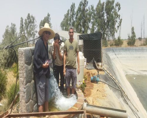 WhatsApp Image 2025-09-28 à 19.20.46_6841161b