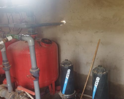 WhatsApp Image 2025-09-28 à 19.20.48_7e99ad3b