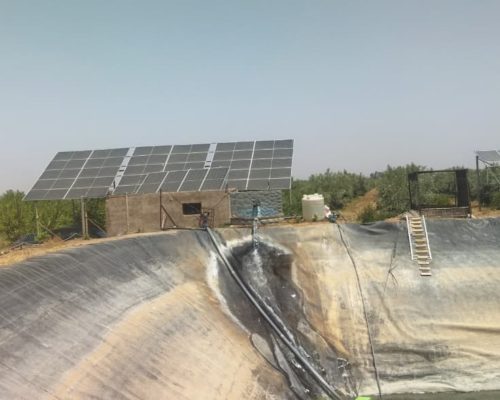 WhatsApp Image 2025-09-28 à 19.20.48_b1fd0206