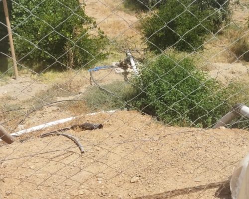 WhatsApp Image 2025-09-28 à 19.20.49_3b99e69b