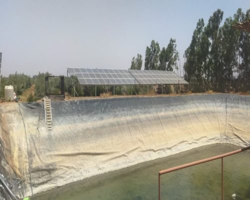 WhatsApp Image 2025-09-28 à 19.20.49_413d4886