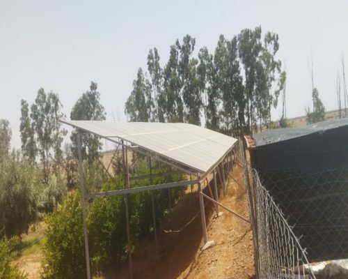 WhatsApp Image 2025-09-28 à 19.20.49_552b705b