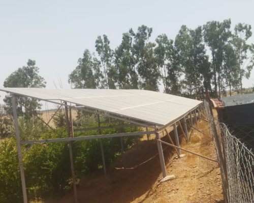 WhatsApp Image 2025-09-28 à 19.20.49_552b705b