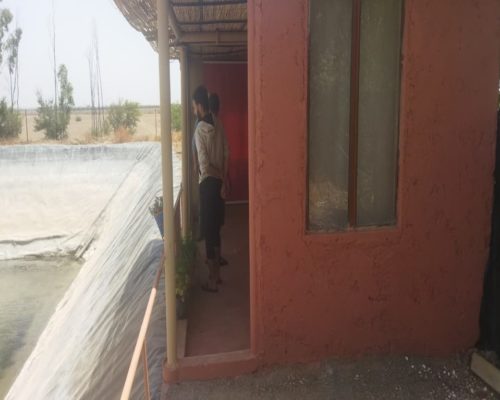 WhatsApp Image 2025-09-28 à 19.20.49_a9d03027