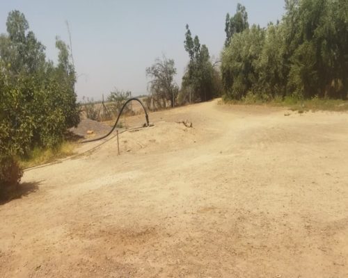 WhatsApp Image 2025-09-28 à 19.20.50_009817b6