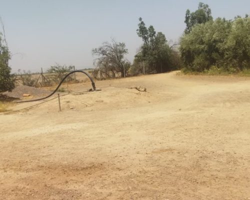 WhatsApp Image 2025-09-28 à 19.20.50_009817b6