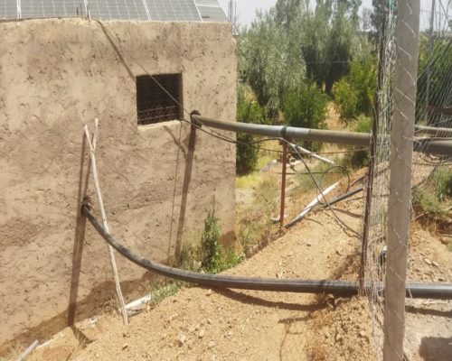 WhatsApp Image 2025-09-28 à 19.20.50_5fdedc70