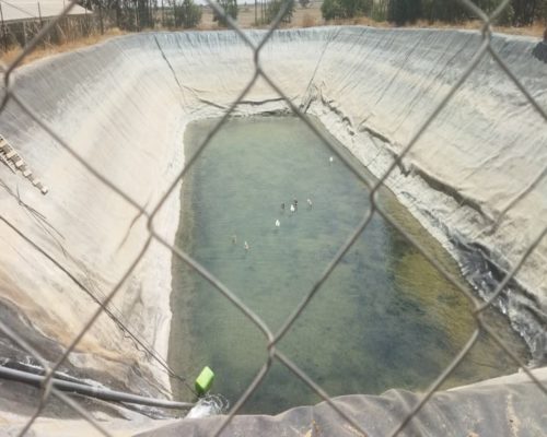 WhatsApp Image 2025-09-28 à 19.20.50_a7a8a592