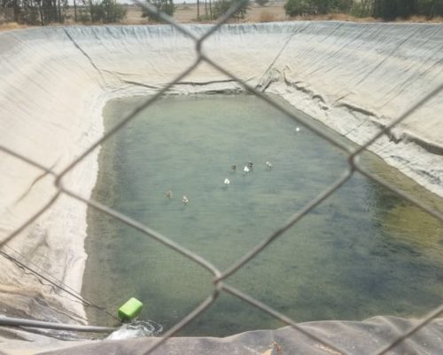 WhatsApp Image 2025-09-28 à 19.20.50_a7a8a592