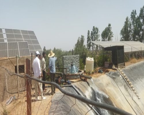 WhatsApp Image 2025-09-28 à 19.20.50_ec2b3a4a