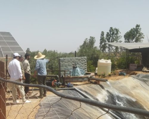 WhatsApp Image 2025-09-28 à 19.20.50_ec2b3a4a