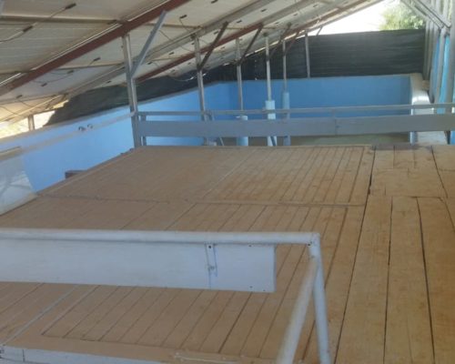 WhatsApp Image 2025-09-28 à 19.20.51_dd7f5113